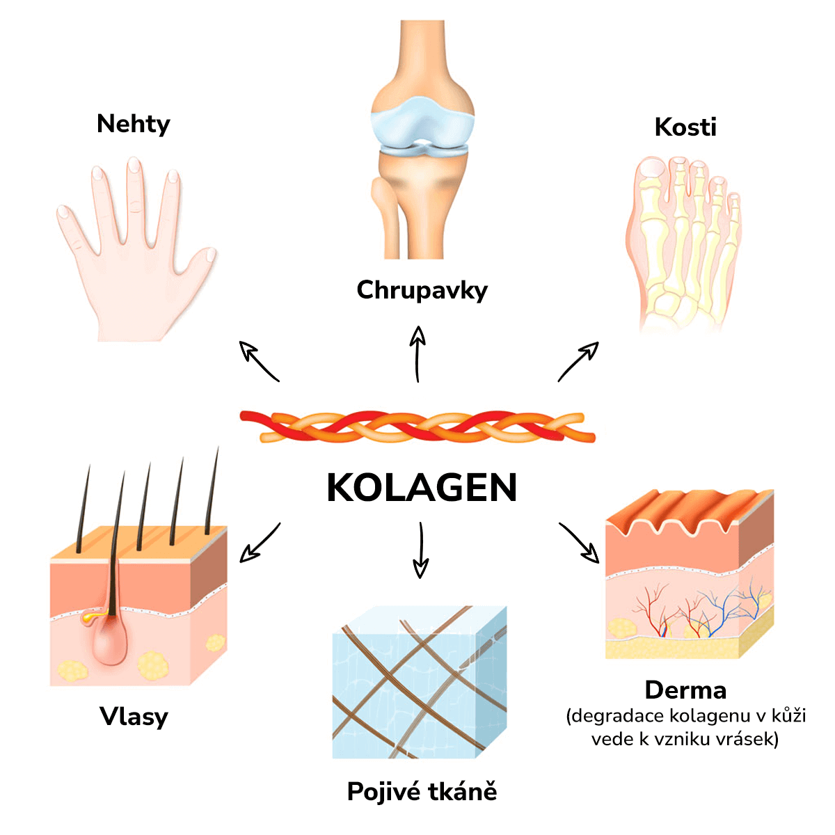 purerituals kolagen k čemu napomáhá